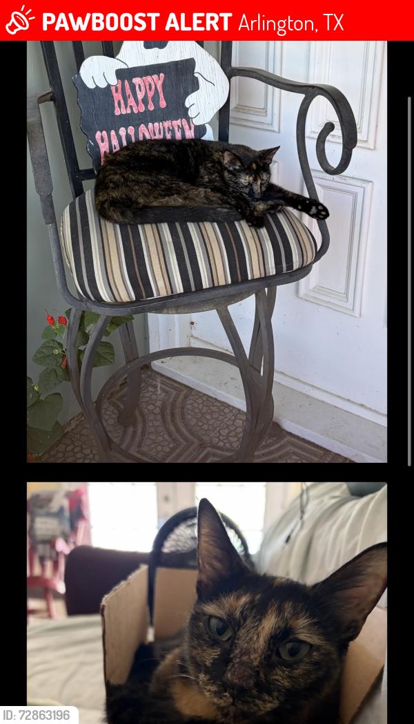 Lost Female Cat last seen California Lane Park , Arlington, TX 76015