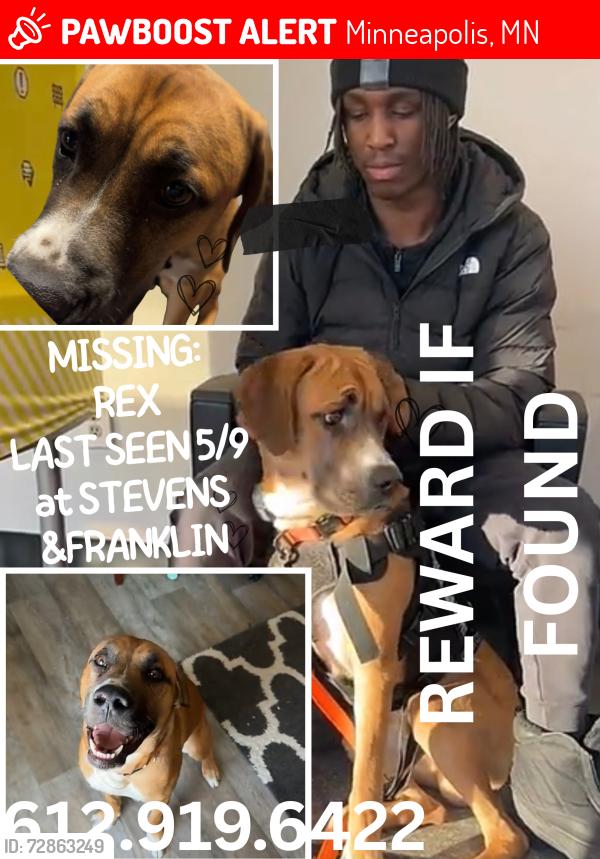 Lost Male Dog last seen Stevens and Franklin, Minneapolis, MN 55403