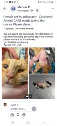 Found/Stray Female Cat last seen SPCA, Cincinnati, OH 45223