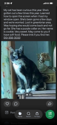 Lost Female Cat last seen BlackBerry ct liberty twp, Liberty Township, OH 45011