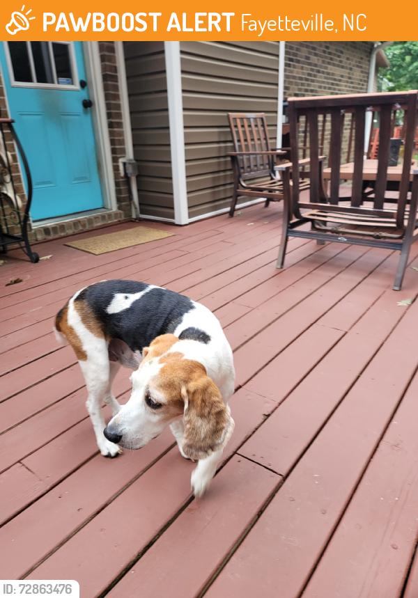 Found/Stray Male Dog last seen Strickland Bridge rd, Fayetteville, NC 28306