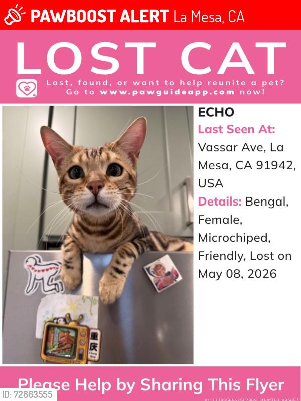 Lost Female Cat last seen Vassar Ave. and Harbinson Ave., La Mesa, CA 91942