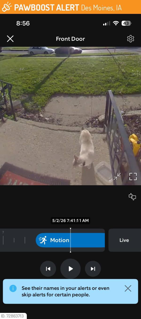 Found/Stray Unknown Cat last seen Payton ave , Des Moines, IA 50315