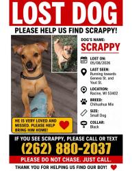 Reunited Male Dog last seen Near Geneva St, Racine, WI 53402