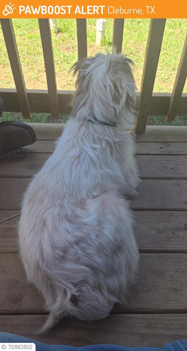 Found/Stray Male Dog last seen Near County Road 805B, Cleburne, TX 76031