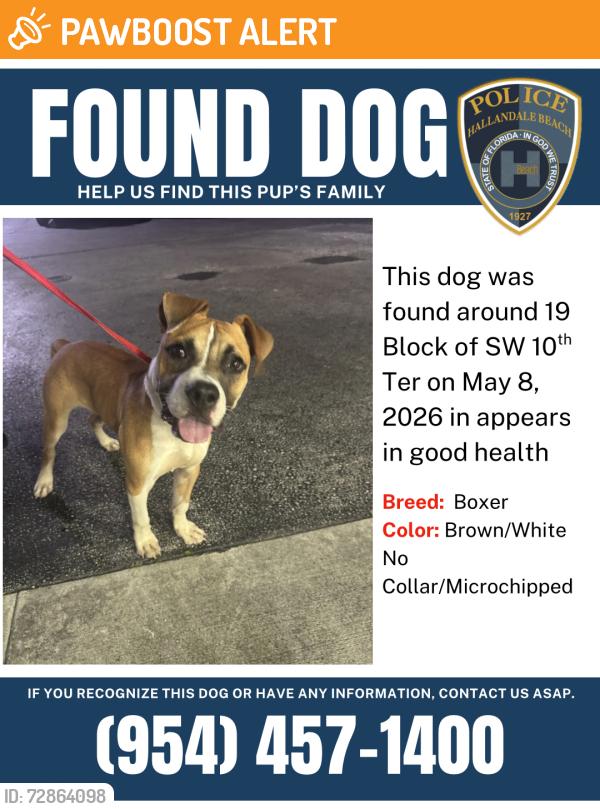 Found/Stray Male Dog last seen Near SW 10th St, Hallandale Beach, FL 33009
