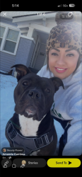 Lost Male Dog last seen Brook, Wichita Falls, TX 76301