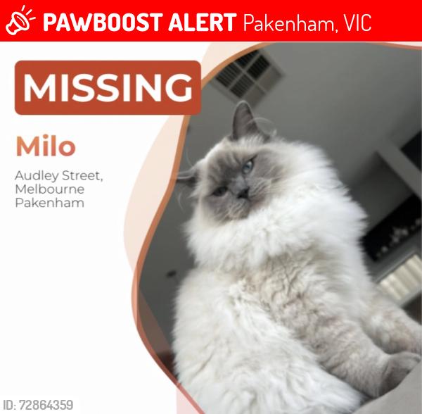 Lost Male Cat last seen Near Audley street Pakenham, Pakenham, VIC 3810