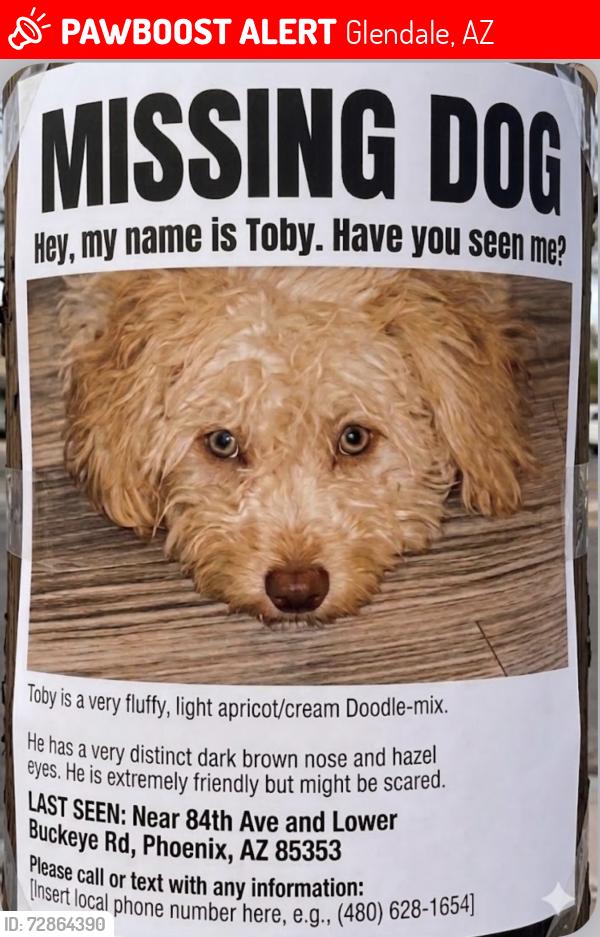 Lost Male Dog last seen 84th ave and lower buckeye , Glendale, AZ 85305