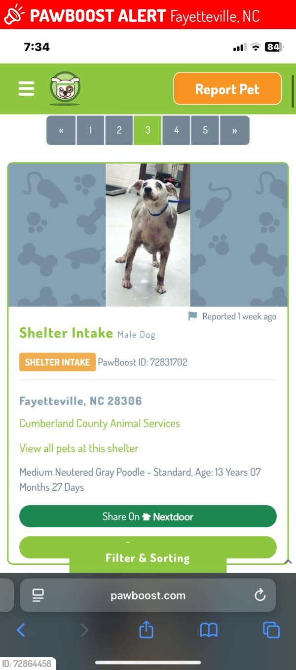 Lost Male Dog last seen Near Lansdowne road , Fayetteville, NC 28314