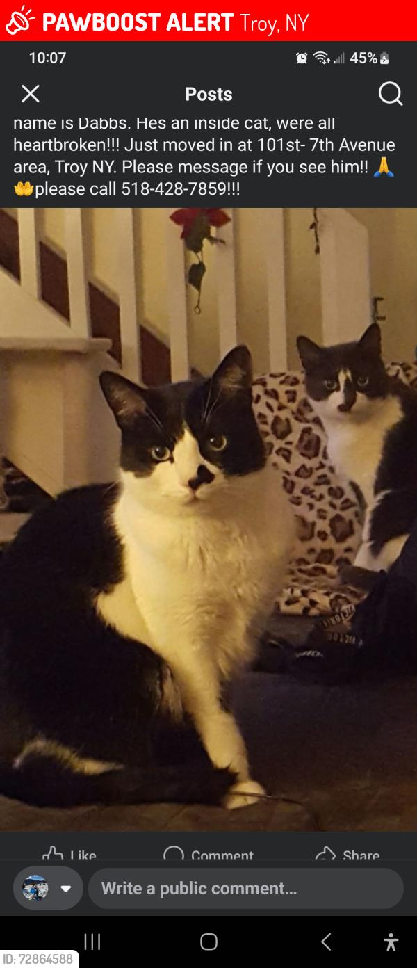 Lost Male Cat last seen 101st-102nd Troy, NY 12180, Troy, NY 12180