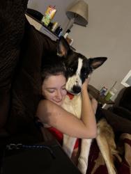 Lost Female Dog last seen 11th and Hanford armona by the dmv, Hanford, CA 93230