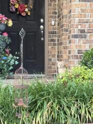 Found/Stray Unknown Cat last seen In neighborhood by tanger outlets, Fort Worth, TX 76177