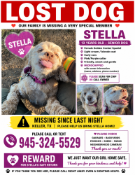 Lost Female Dog last seen Timber Creek high School , Fort Worth, TX 76244