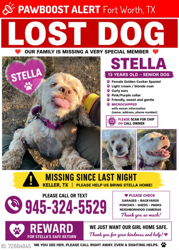 Lost Female Dog last seen Timber Creek high School , Fort Worth, TX 76244