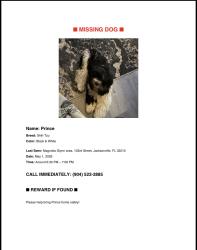 Lost Male Dog last seen 103rd street , Jacksonville, FL 32210