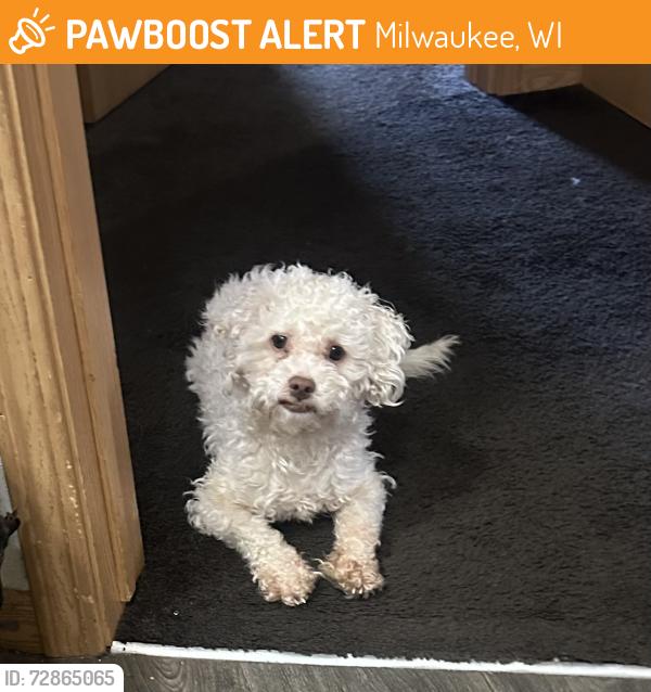 Found/Stray Male Dog last seen Silverspring Courts apmts , Milwaukee, WI 53218