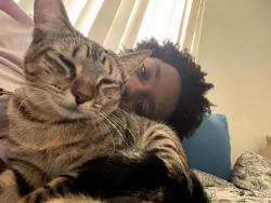 Lost Female Cat last seen Near E commercial blvd, Fort Lauderdale, FL 33334