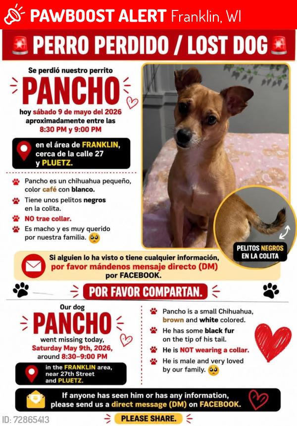 Lost Male Dog last seen Front the Medical suites at oak creek and the next ave puertz , Franklin, WI 53132
