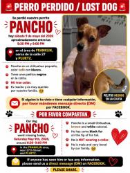 Lost Male Dog last seen Front the Medical suites at oak creek and the next ave puertz , Franklin, WI 53132