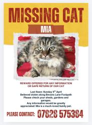 Lost Female Cat last seen Bevans Lane, Pontrhydyrun, Wales NP44
