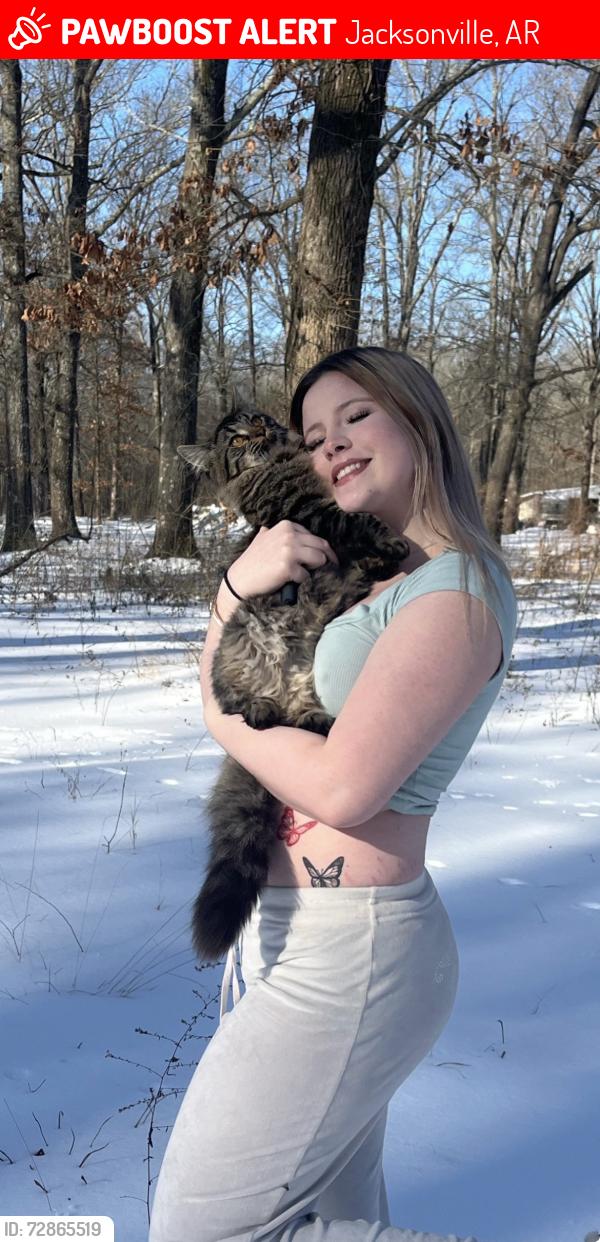 Lost Female Cat last seen Game and fish commission , Jacksonville, AR 72076
