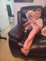 Lost Female Dog last seen Los primos supermarket, Miami, FL 33147