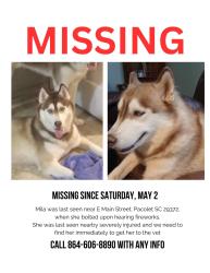 Lost Female Dog last seen Tate memorial Baptist Church , Pacolet, SC 29372