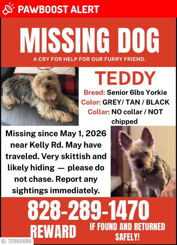 Lost Male Dog last seen Kelly rd and LaVista Circle Forest City, NC , Rutherford County, NC 28043