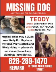 Lost Male Dog last seen Kelly rd and LaVista Circle Forest City, NC , Rutherford County, NC 28043
