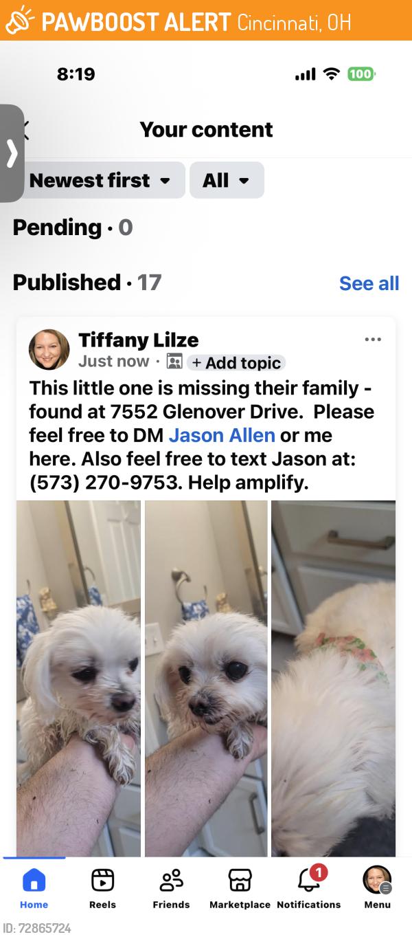 Found/Stray Unknown Dog last seen Glenover near Montgomery, Cincinnati, OH 45236