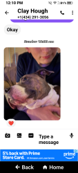 Lost Male Dog last seen Old forest road, Lynchburg, VA 24501