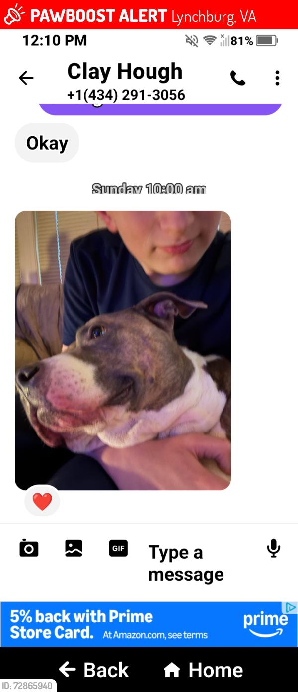 Lost Male Dog last seen Old forest road, Lynchburg, VA 24501
