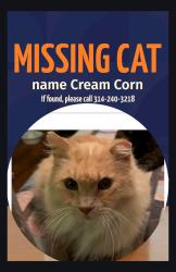 Reunited Male Cat last seen Midland and brown, Sycamore Hills, MO 63114