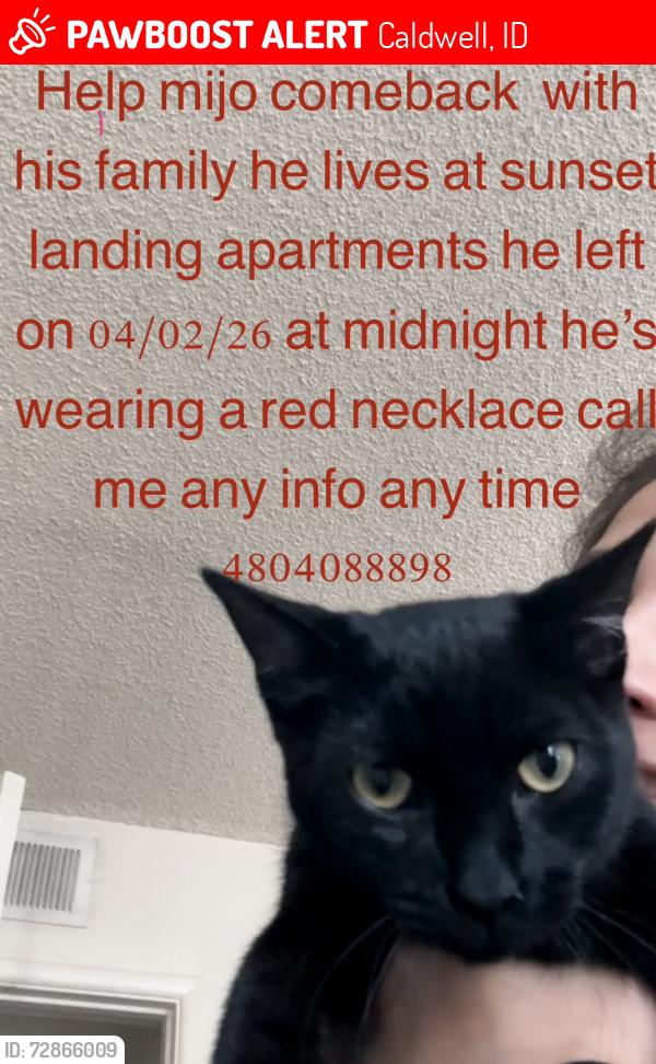 Lost Male Cat last seen Near n 67 ave apt 2045, Caldwell, ID 83605