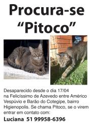 Lost Male Cat last seen Entre ruas Américo Vespucio e Barão do Cotegipe , Porto Alegre, RS 90540-110