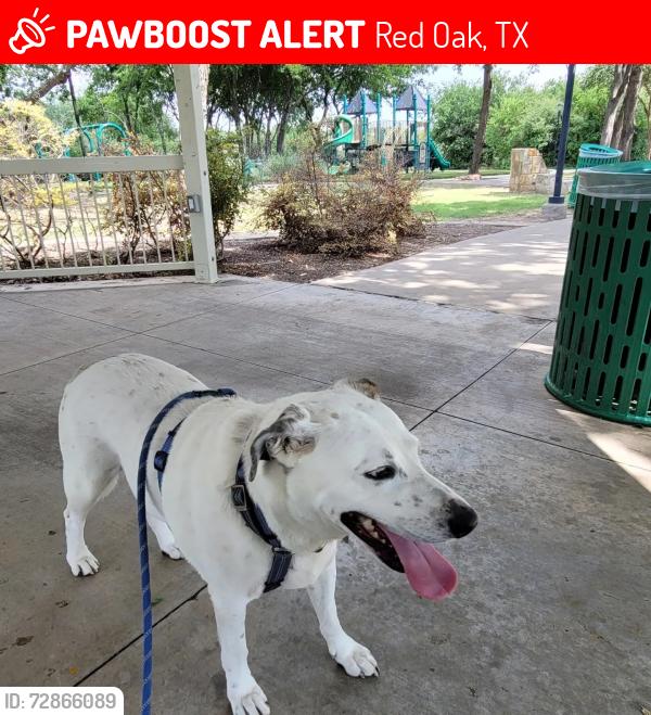 Lost Male Dog last seen Methodist St and West Red oak , Red Oak, TX 75154