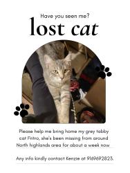 Lost Female Cat last seen Harrison & ward , North Highlands, CA 95660