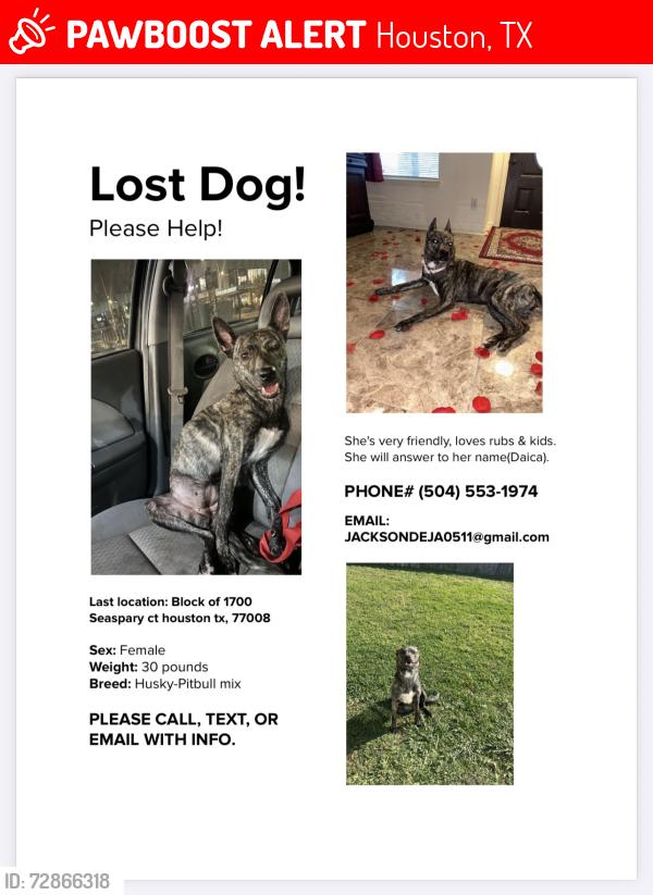 Lost Female Dog last seen W 18th st , Houston, TX 77008
