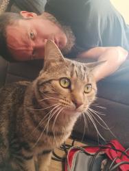 Lost Male Cat last seen Denton Hwy and I-820-E, I-30, Haltom City, TX 76117