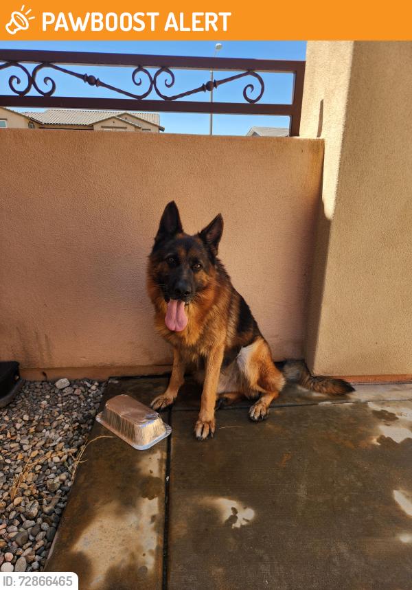 Found/Stray Male Dog last seen Indian Wells - Rancho Etiwanda Estates, Rancho Cucamonga, CA 91730