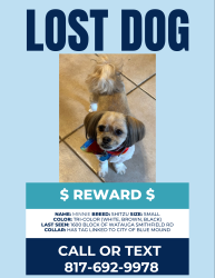 Lost Female Dog last seen HWY 156 & Watagua Smithfield Rd, Blue Mound, TX 76131