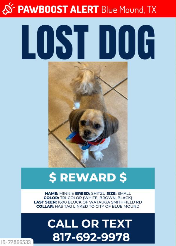 Lost Female Dog last seen HWY 156 & Watagua Smithfield Rd, Blue Mound, TX 76131