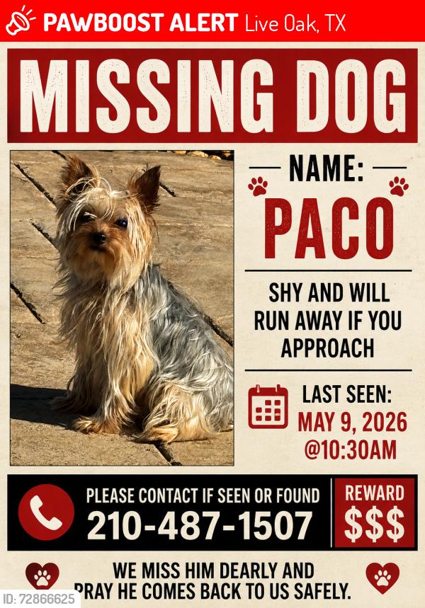 Lost Male Dog last seen Ikea, Live Oak, TX 78233