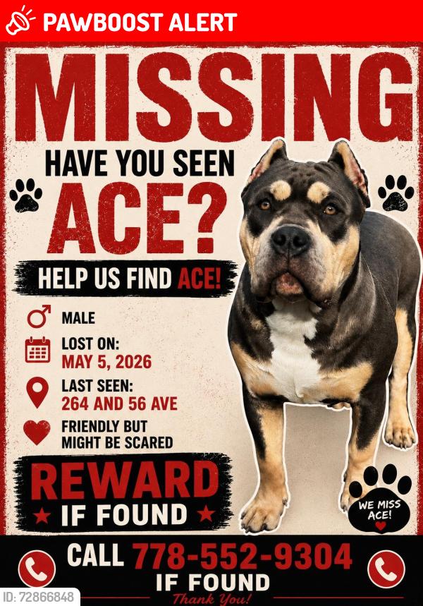 Lost Male Dog last seen Near st 56 ave, Langley Township, BC V4W 1P3