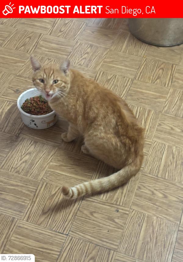 Lost Male Cat last seen Mallard st , San Diego, CA 92114