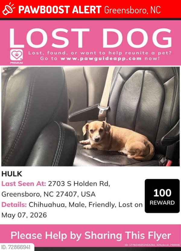 Lost Male Dog last seen Holden road, Greensboro, NC 27407