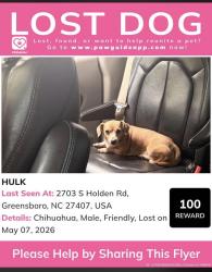 Lost Male Dog last seen Holden road, Greensboro, NC 27407