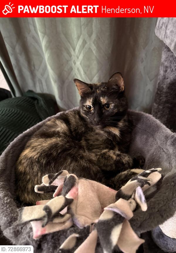 Lost Female Cat last seen Horizon & horizon ridge , Henderson, NV 89012