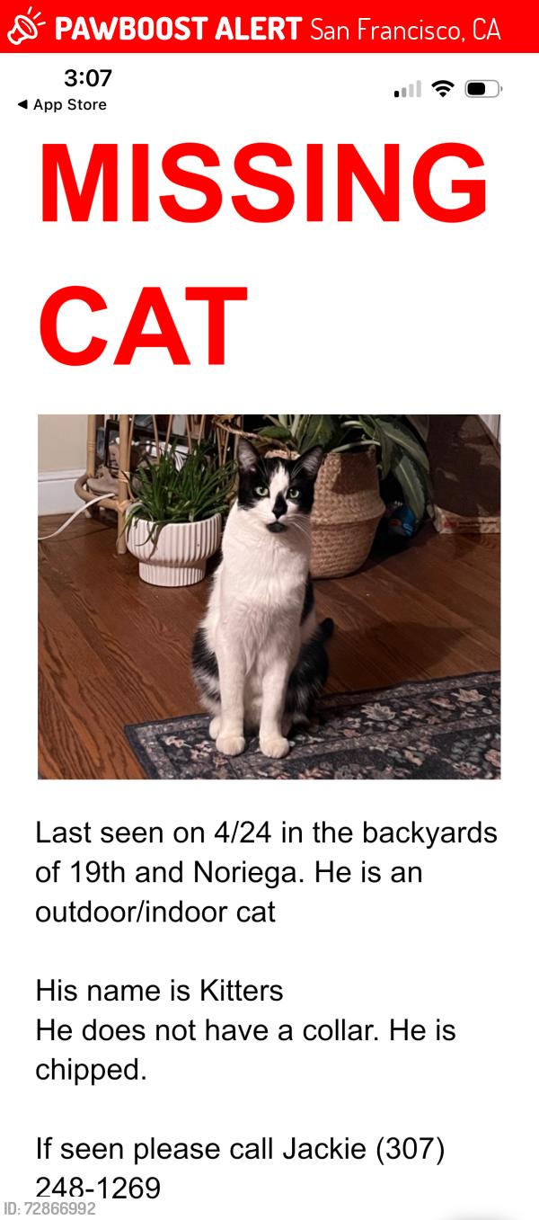 Lost Male Cat last seen Backyard, San Francisco, CA 94116
